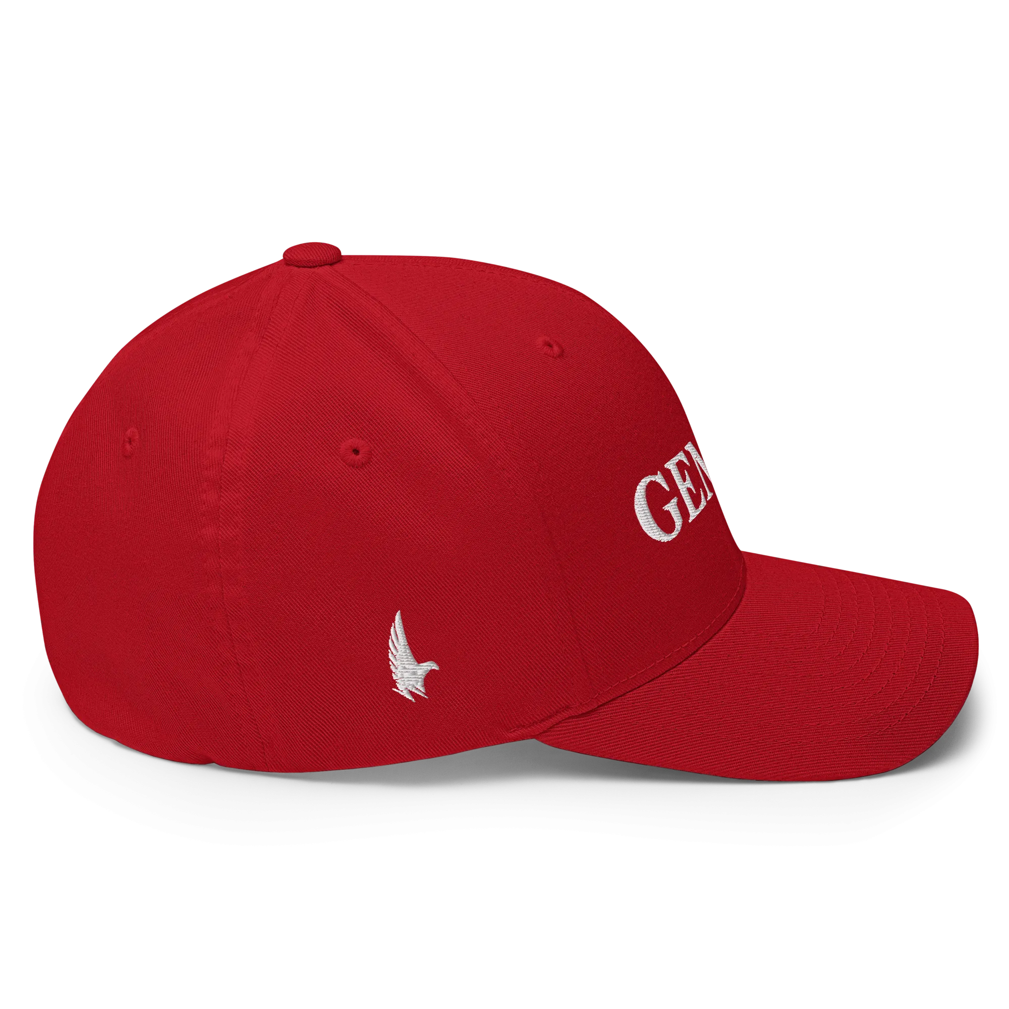 Original Gemini Fitted Hat